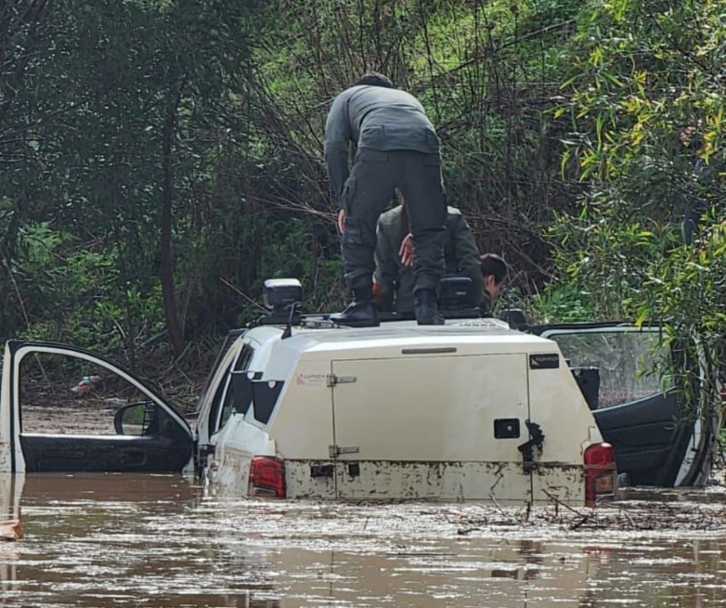 פורטל הכרמל
