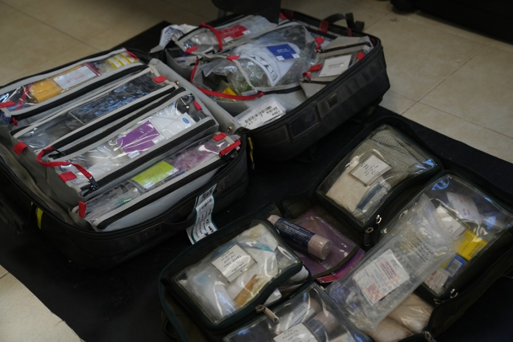 פורטל הכרמל