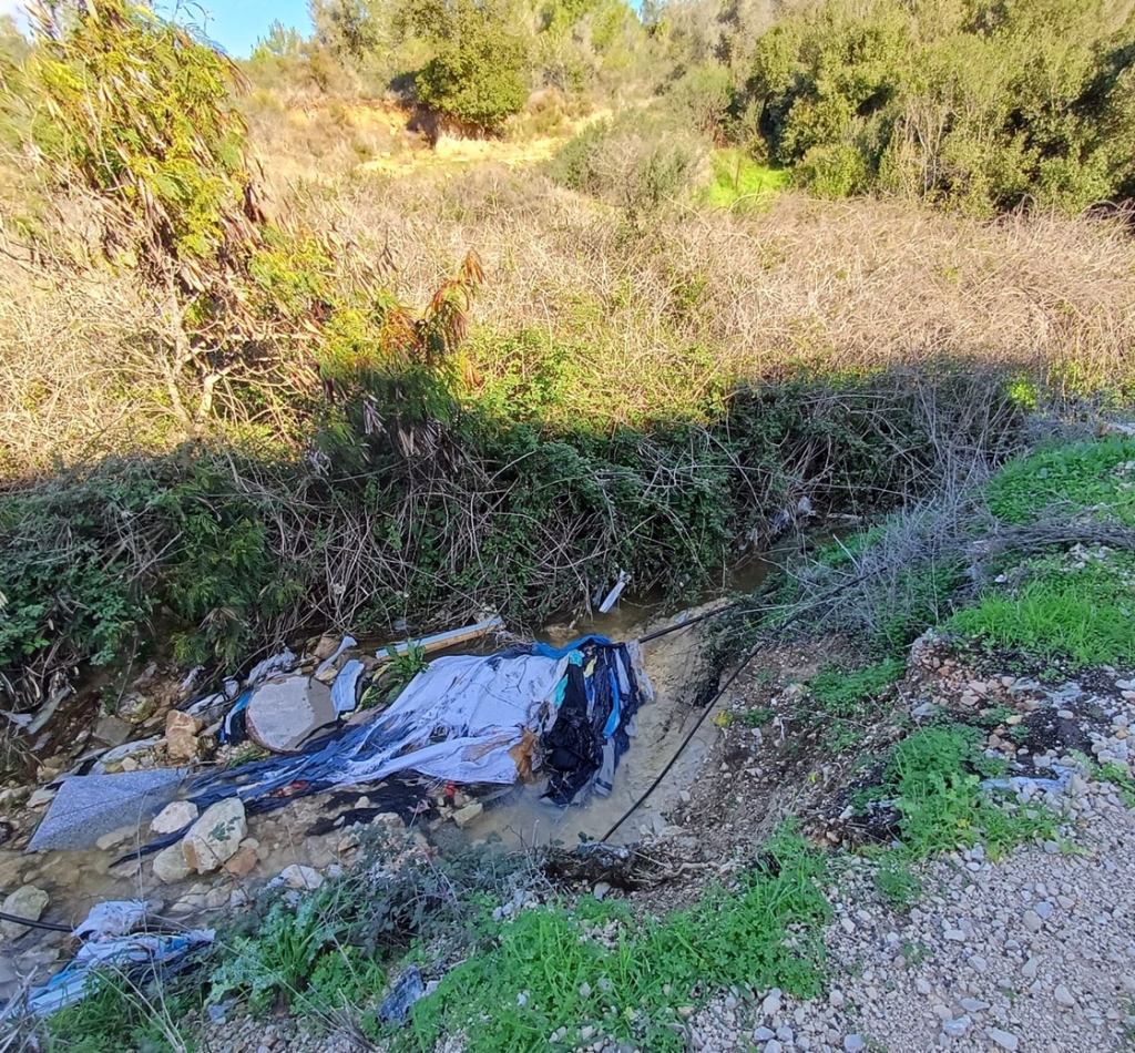 פורטל הכרמל