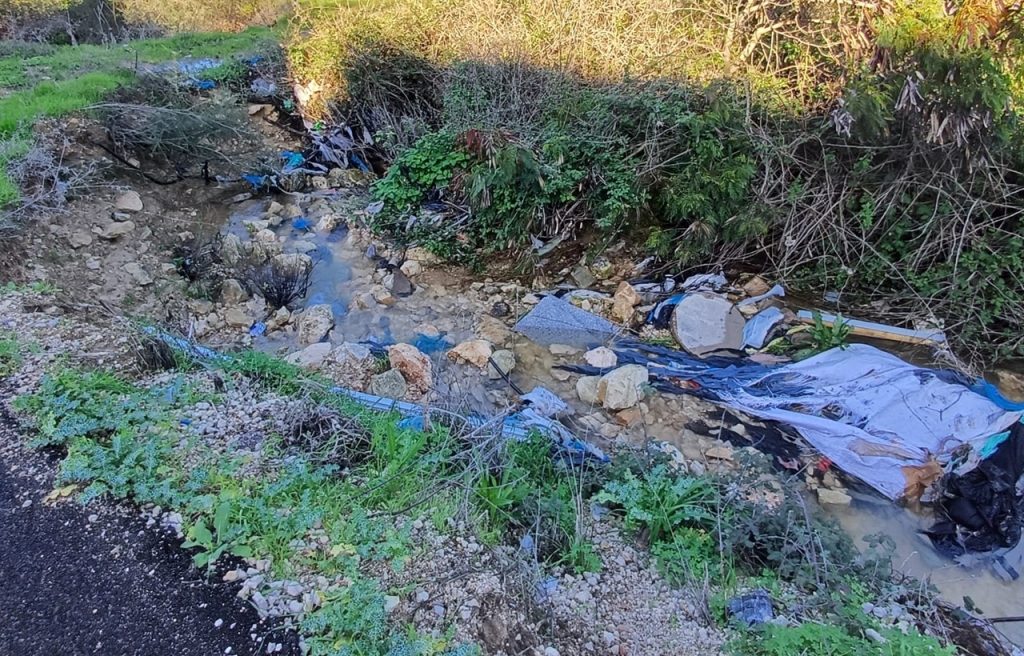 פורטל הכרמל