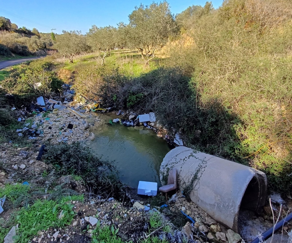 נזק סביבתי חמור בנחל דליה