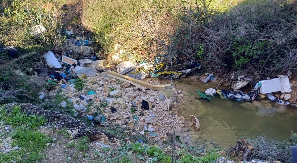 פורטל הכרמל