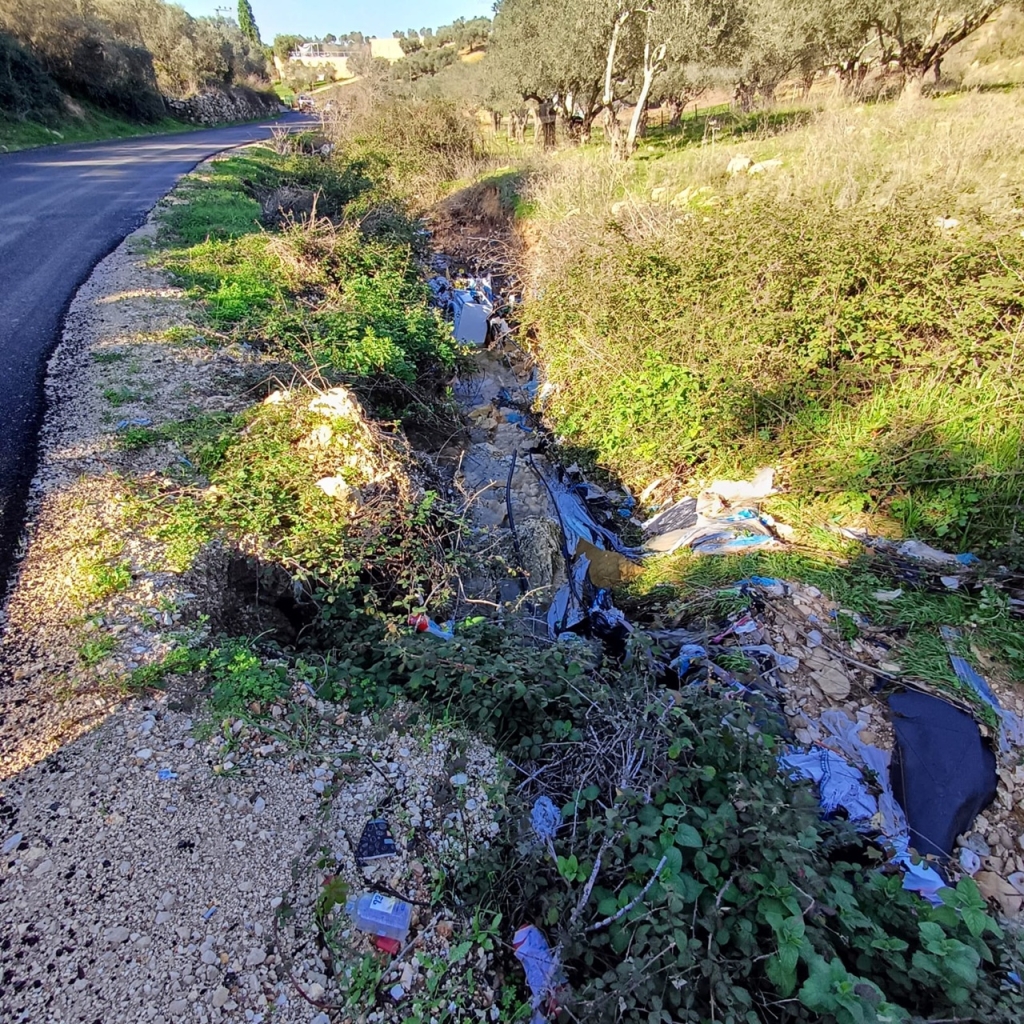 פורטל הכרמל