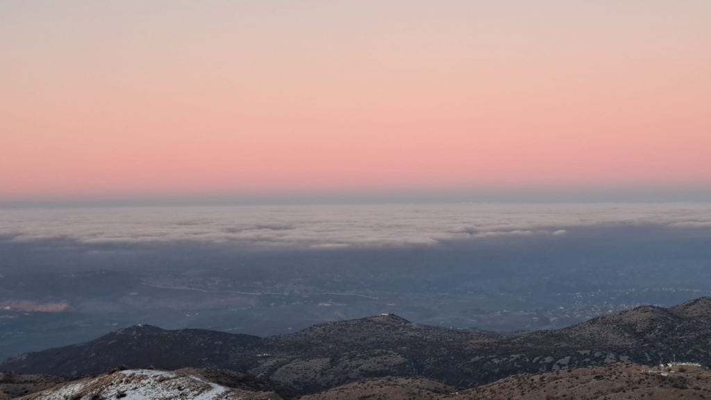 פורטל הכרמל