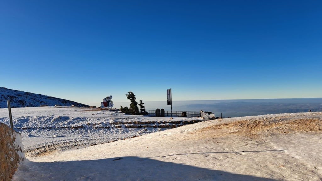פורטל הכרמל