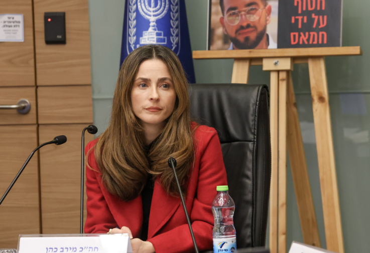 פורטל הכרמל