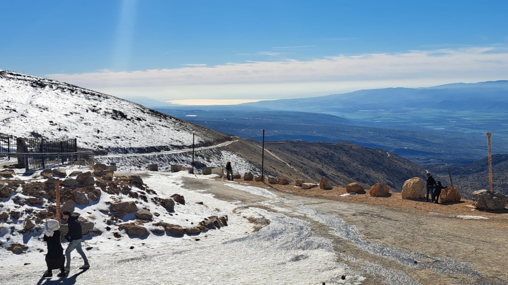 פורטל הכרמל