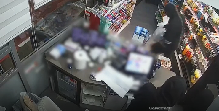 פורטל הכרמל