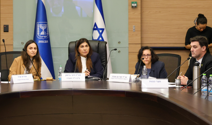 פורטל הכרמל