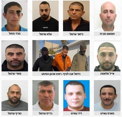 פורטל הכרמל