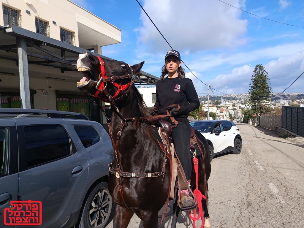 פורטל הכרמל