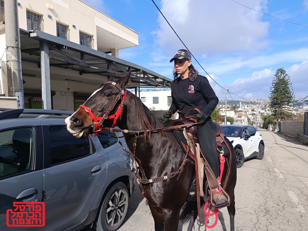 פורטל הכרמל