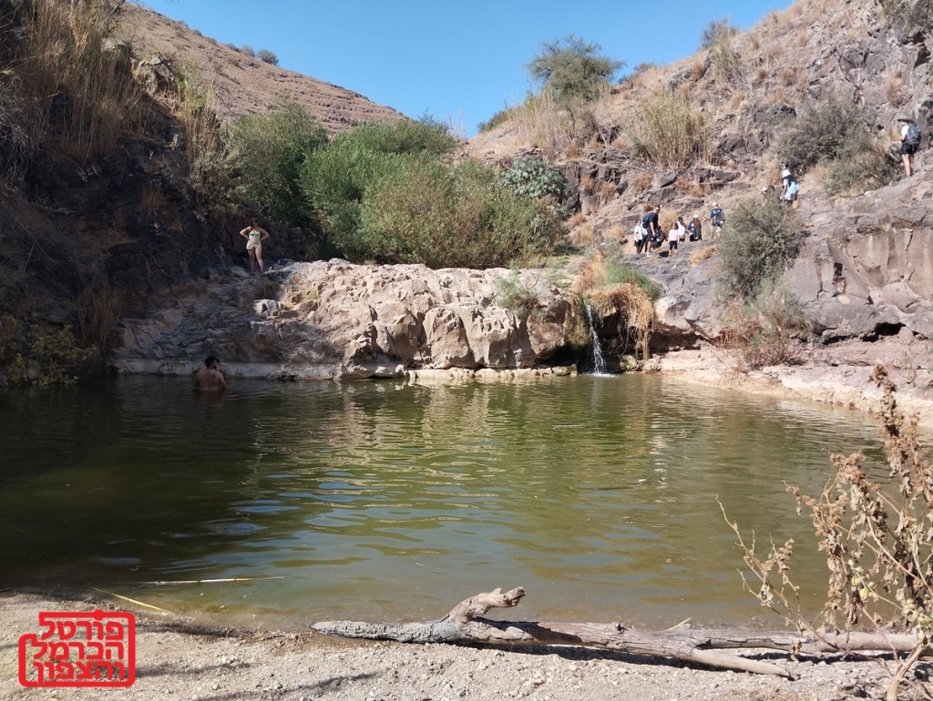 הצעת פרסום באתר המוביל שלא תקבלו בשום מקום