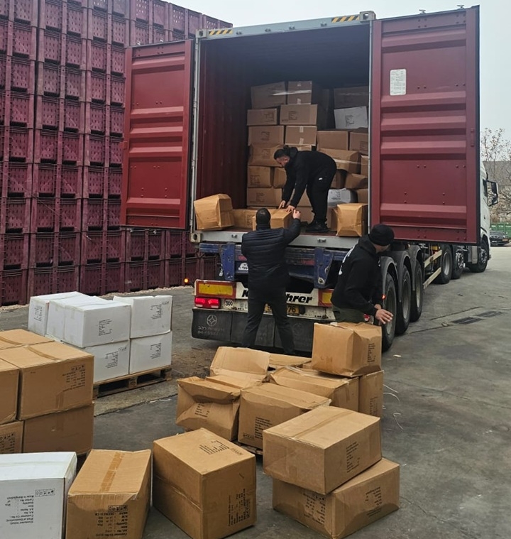 פורטל הכרמל