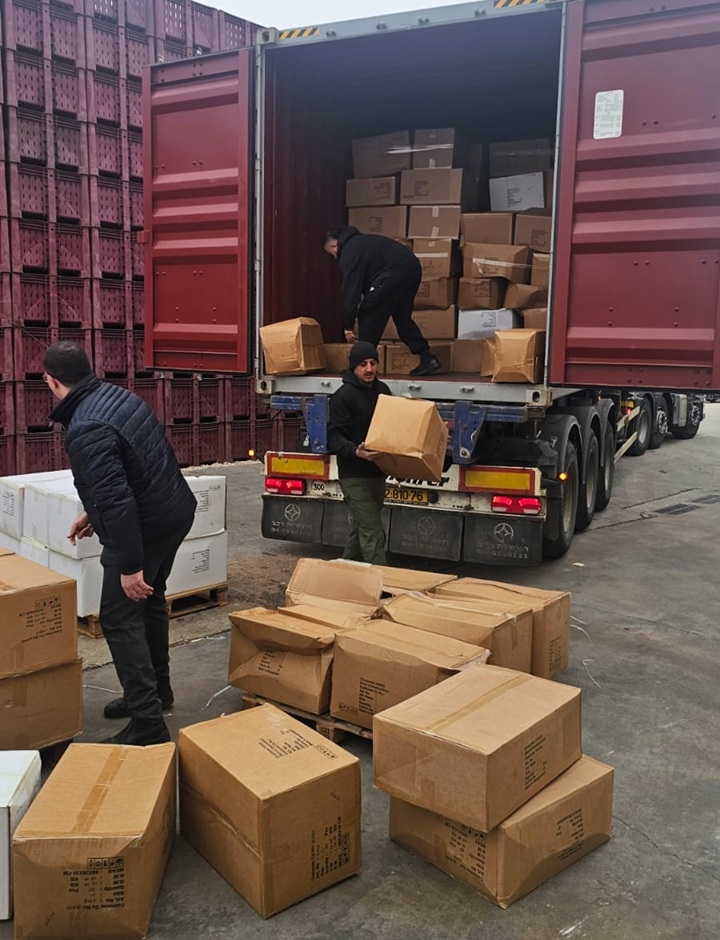 פורטל הכרמל