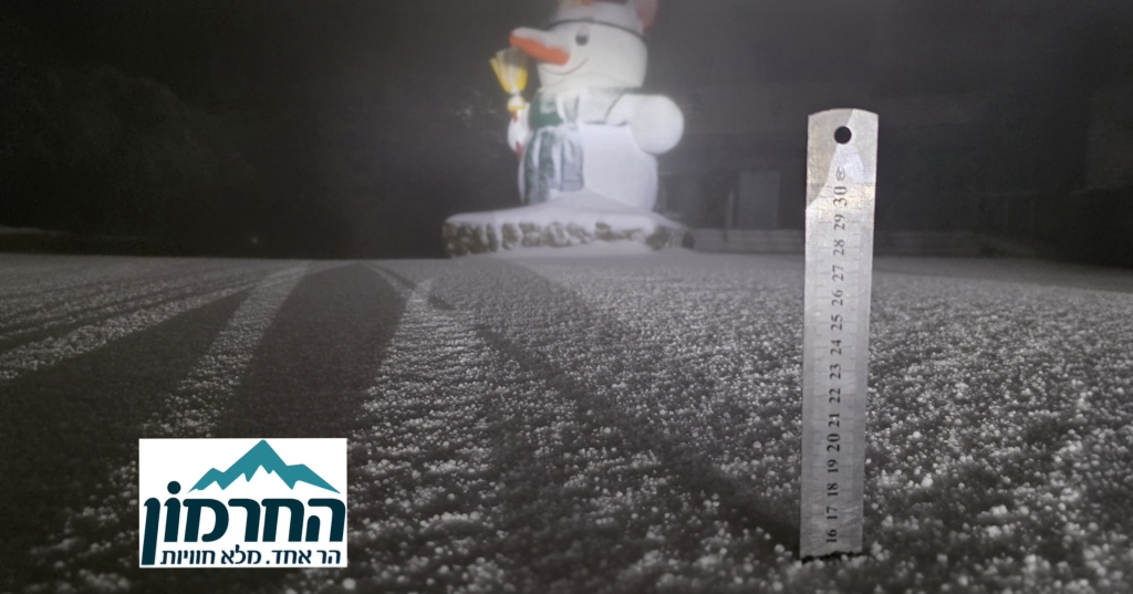 פורטל הכרמל