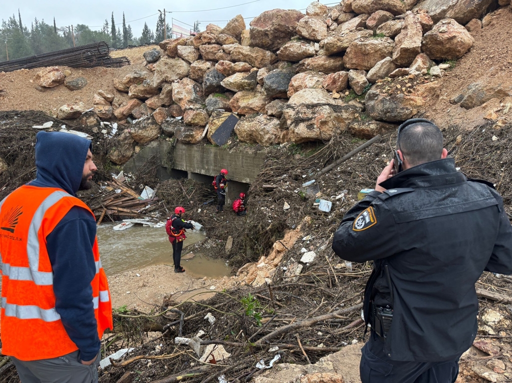 פורטל הכרמל