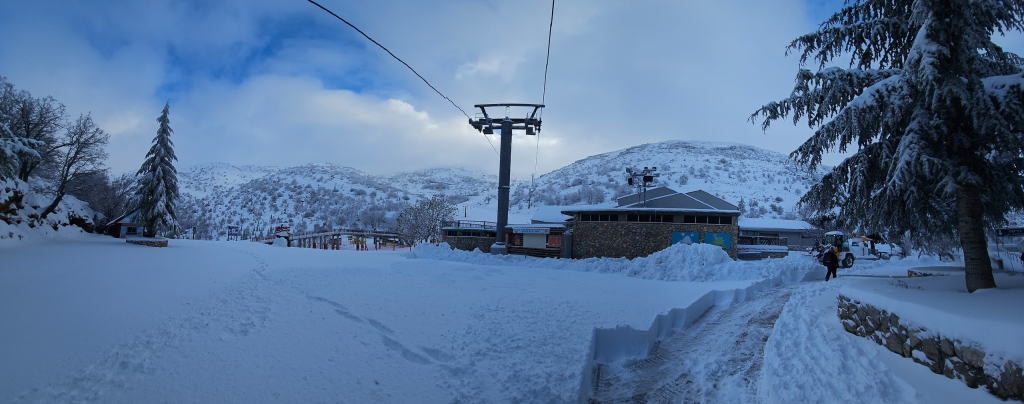 פורטל הכרמל