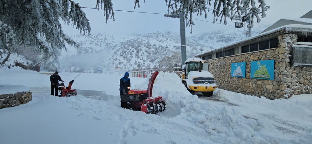 פורטל הכרמל
