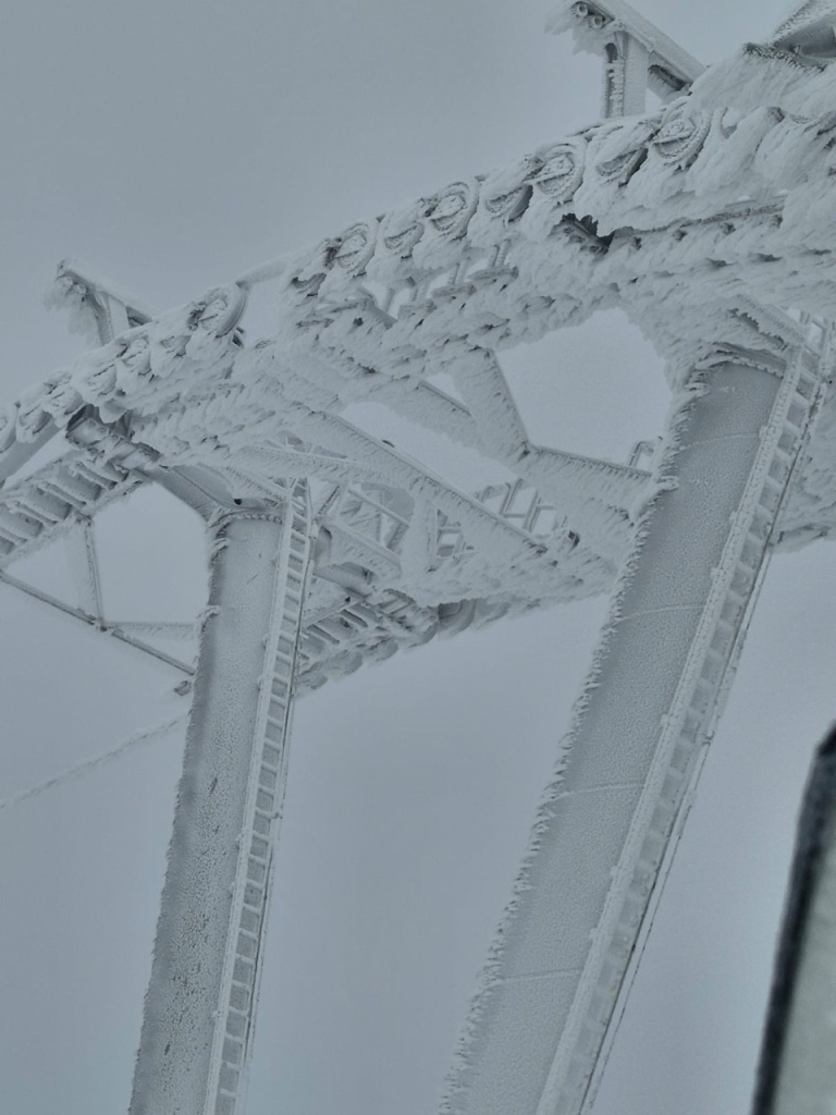 פורטל הכרמל