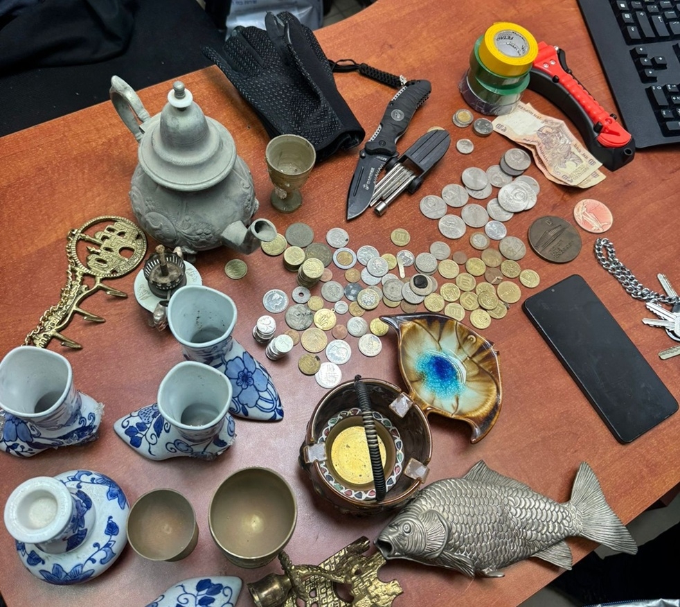 פורטל הכרמל