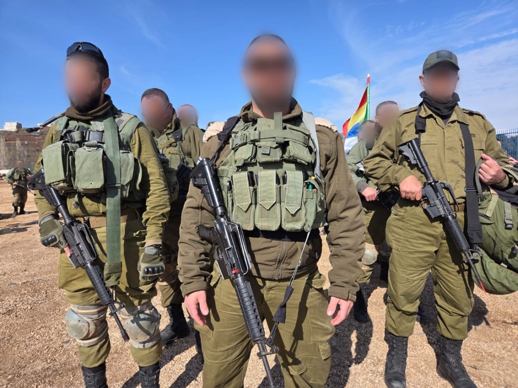 פורטל הכרמל