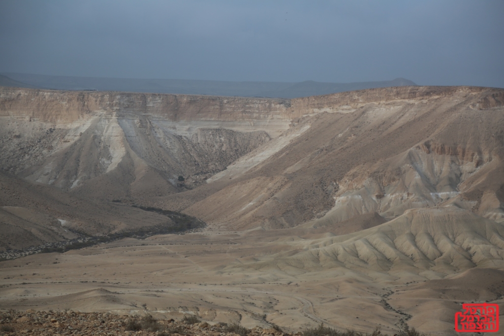 שדה בוקר והנחלים