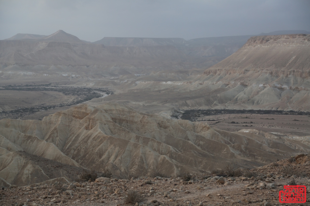 פורטל הכרמל