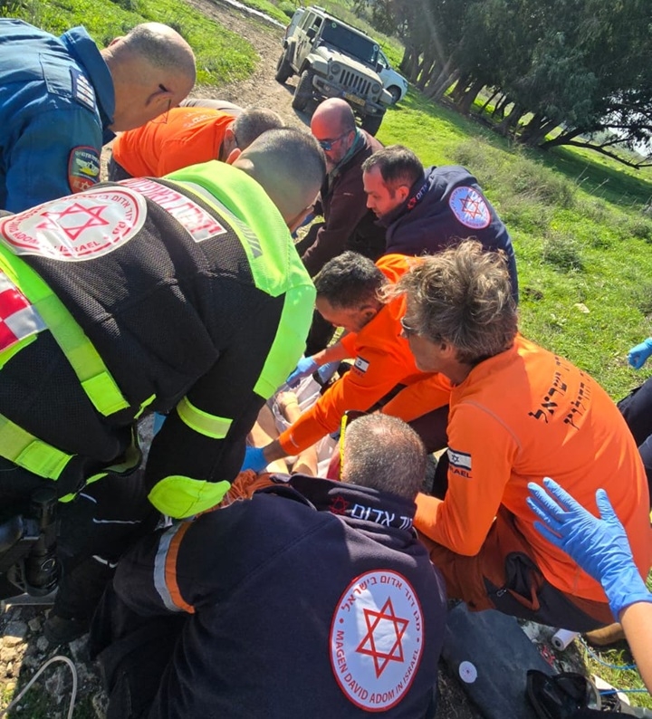 פורטל הכרמל