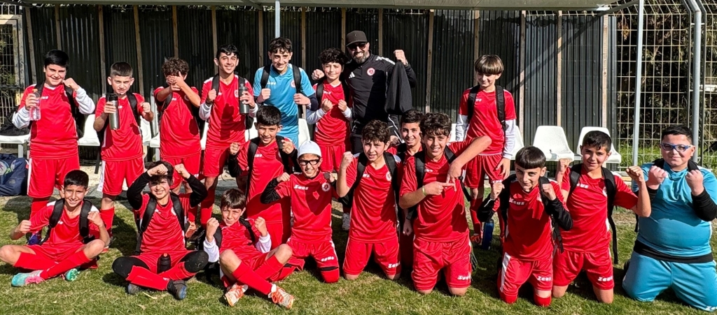 פורטל הכרמל