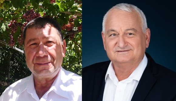 פורטל הכרמל