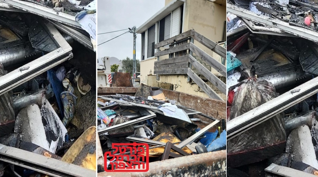 פורטל הכרמל