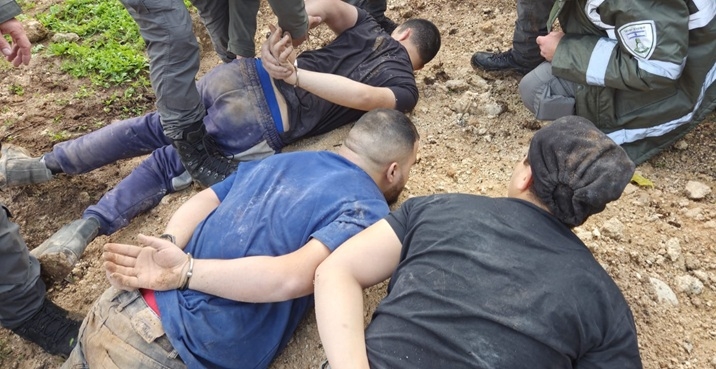 פורטל הכרמל