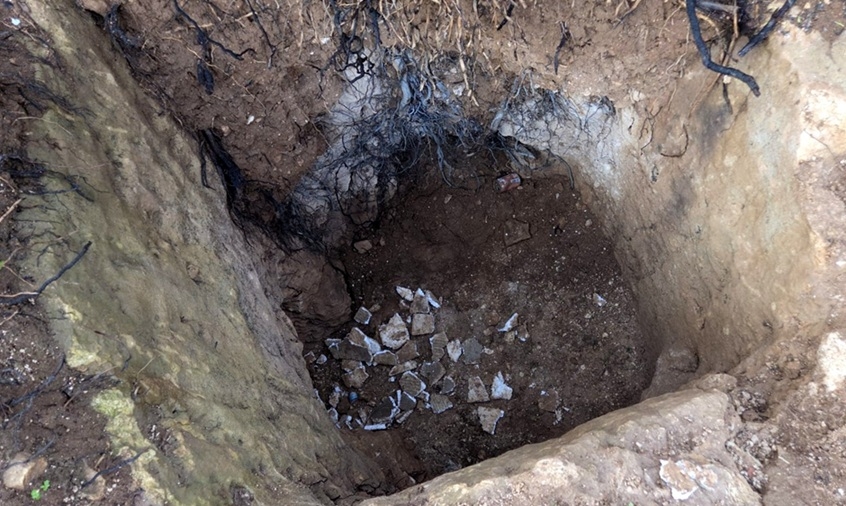 פורטל הכרמל