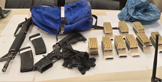 פורטל הכרמל