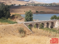 העיתונות הטורקית המזוהה עם ארדואן