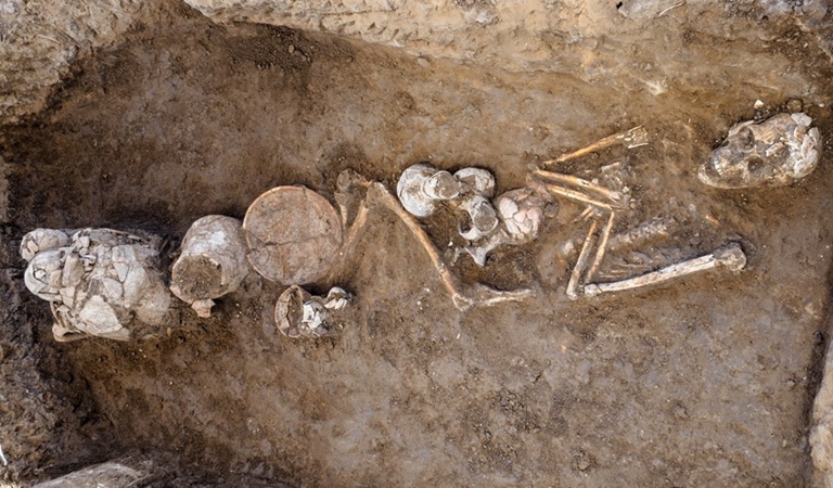 פורטל הכרמל