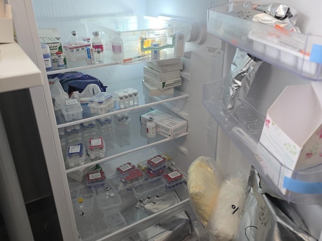 פורטל הכרמל