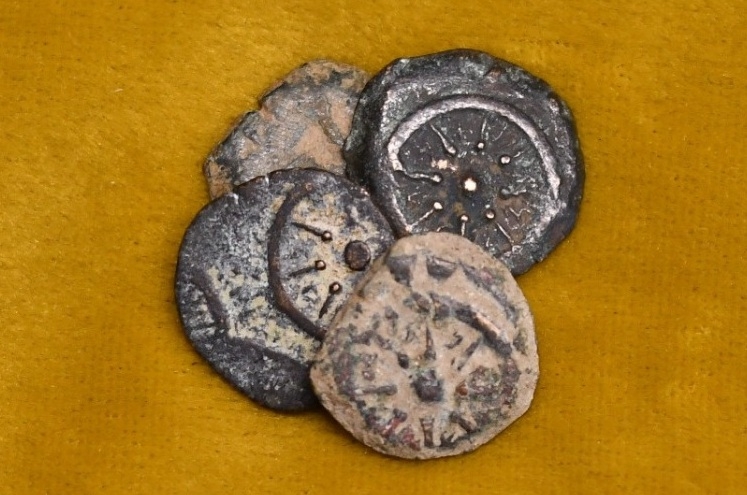 פורטל הכרמל