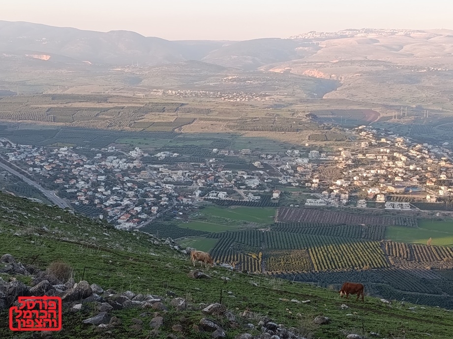 קק"ל מכשירה קרקעות לזוגות צעירים בצפון ובדרום