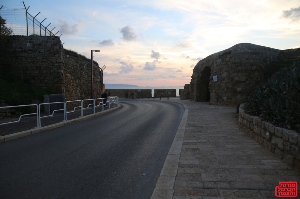 פורטל הכרמל