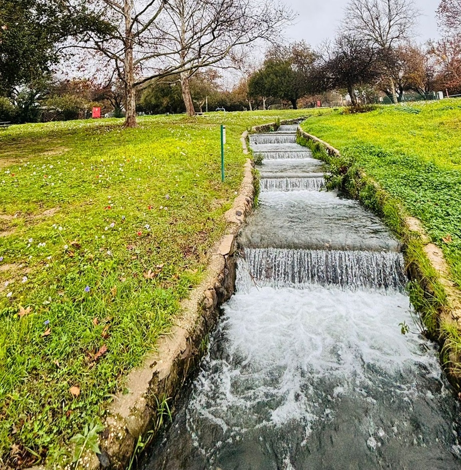 פורטל הכרמל