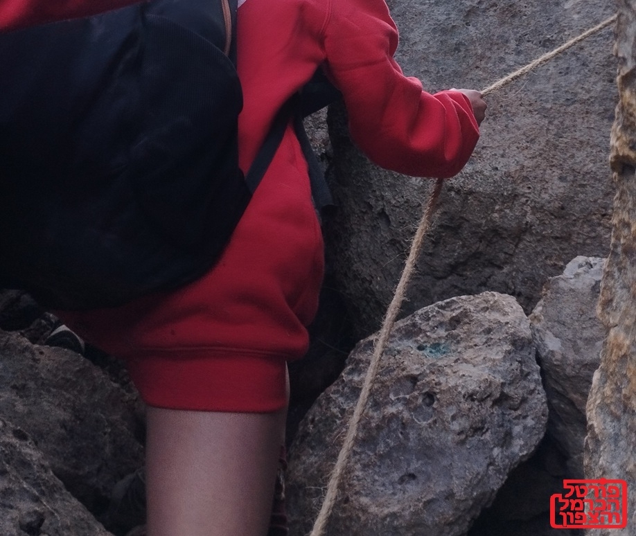 מעל 16 אלף פגיעות בילדים ברשת