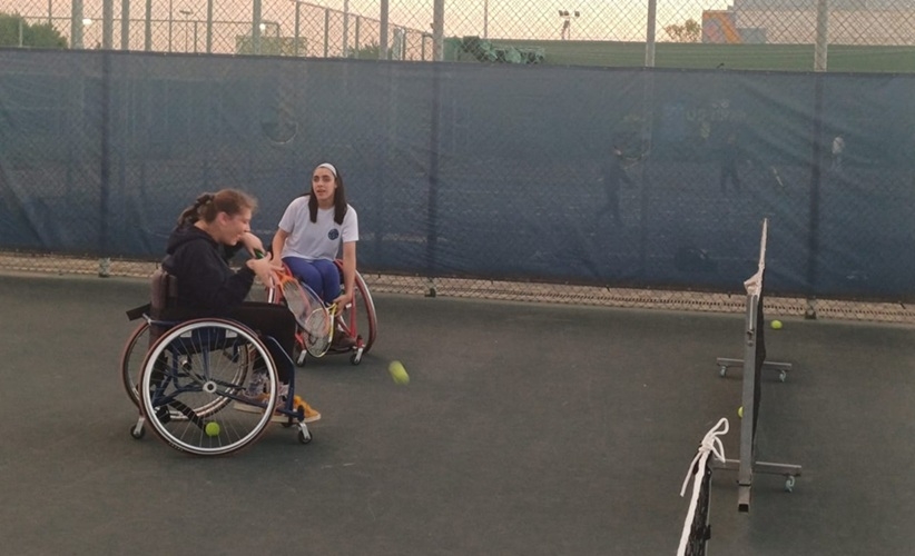 פורטל הכרמל