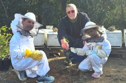 למען הצלת ענף הדבורים הנמצא בסכנת הכחדה