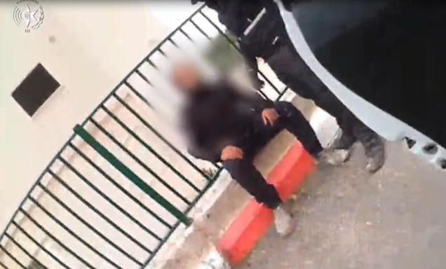 פורטל הכרמל