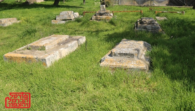 פורטל הכרמל