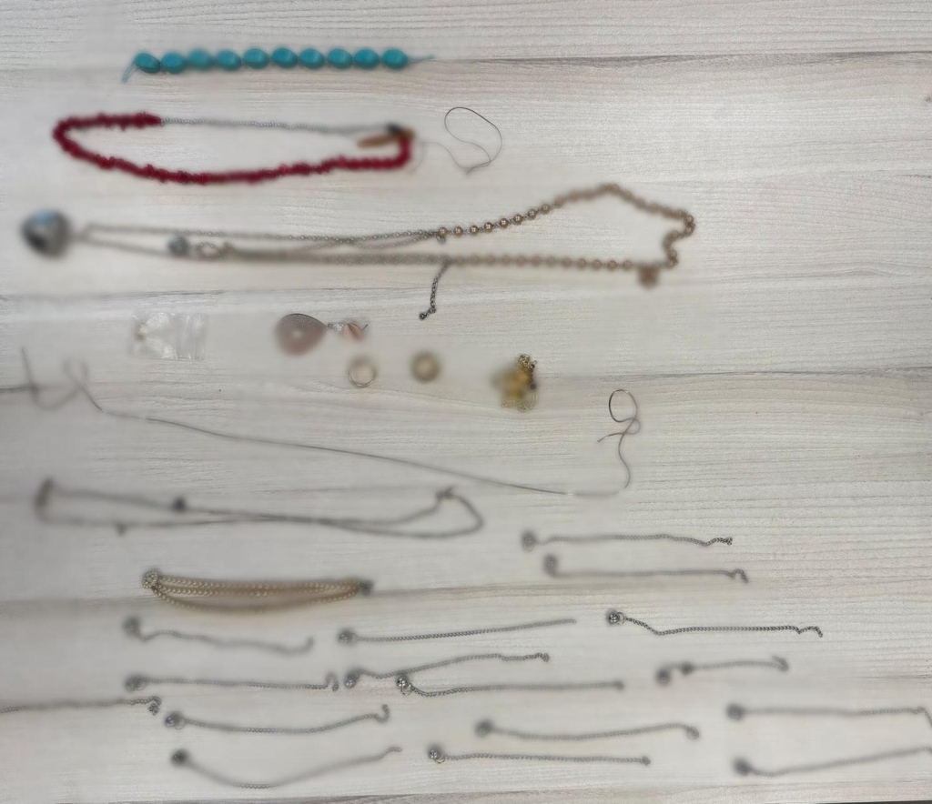 פורטל הכרמל