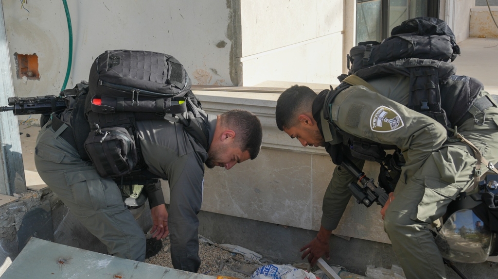 פורטל הכרמל