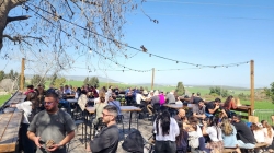 הכביש לגלעד וחצר מגדה